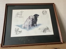 Framed print drawings of