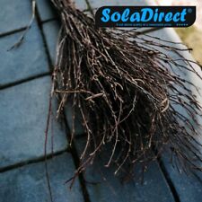 WITCHES BROOM STRAW STICK