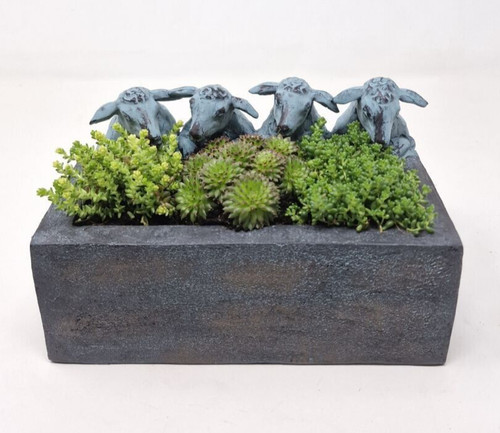 Sheep with trough - sheep,