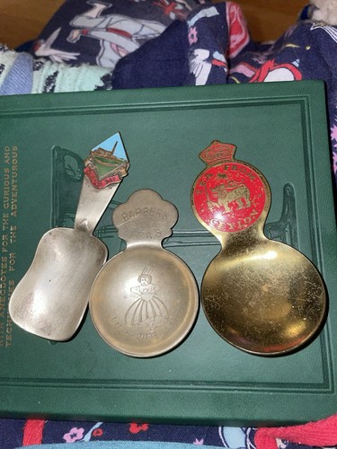 Tea caddy spoons - tea,