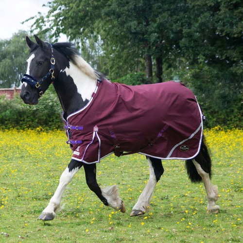 Gallop trojan xtra duraproof - gallop,