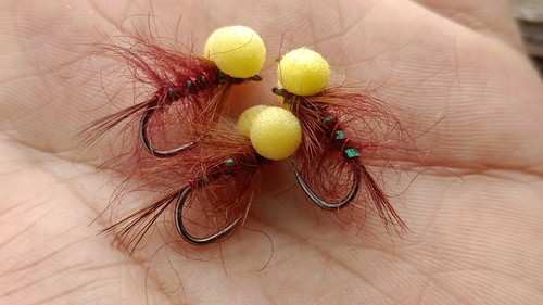 Boobie fly shrimp - fly, or