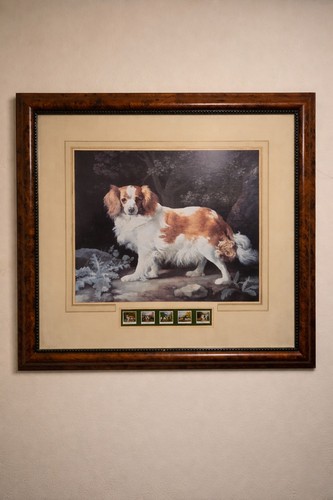 Large framed cavalier king - large,