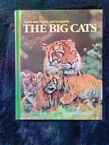 The big cats hard back - big, book