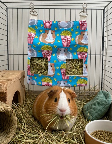 Guinea pig feeder - cute, popcorn