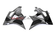 Carbon Fiber Fairing Kit BMW