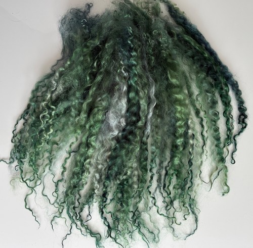 30gm teeswater super long - teeswater,