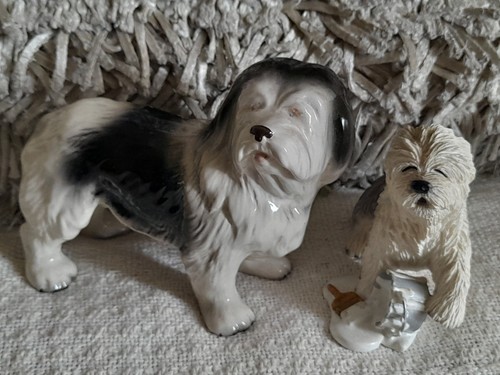 Old english sheep dog - old,