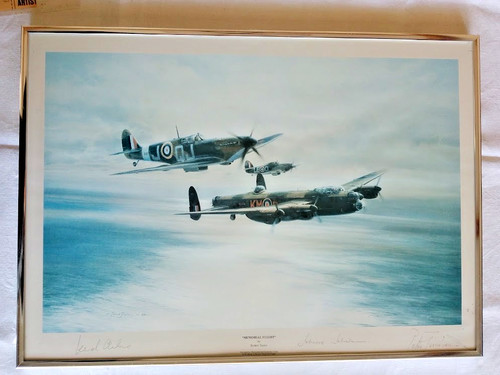 Special edition framed print
