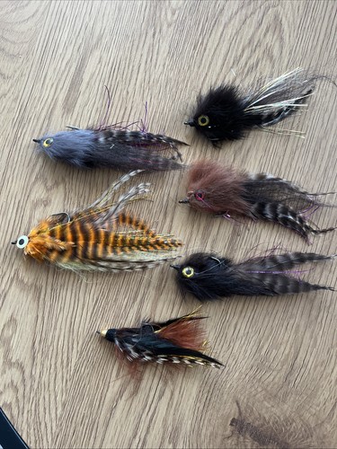 Flies for predator fishing - predator,