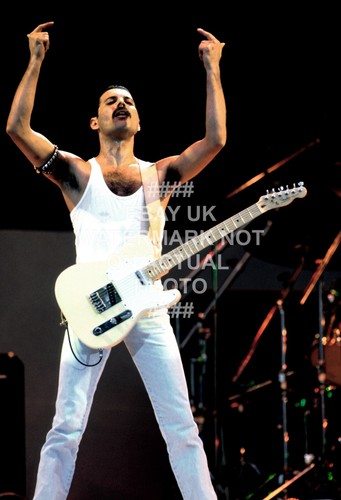 Freddie mercury queen - freddie,