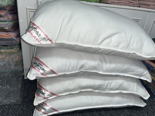 Sealy pack pillows anti - sealy,