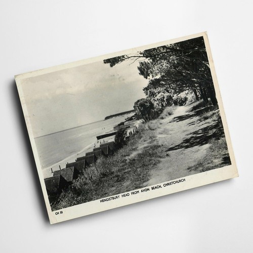 Print vintage hampshire - print,