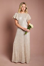 Coast Champagne A-Line Dress