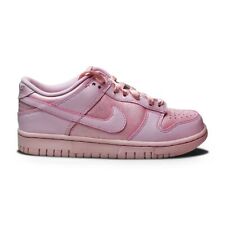 Juniors Nike Dunk Low SE (GS)
