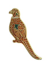 Bird Twitching Birdwatching