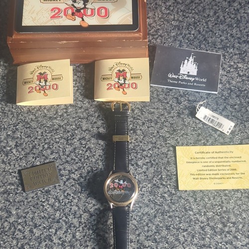 Disney wdw limited edition - wdw,