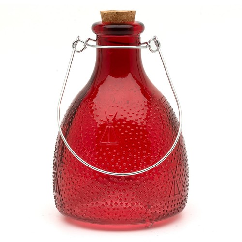 Glass wasp trap - glass, small