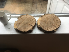 OAK WOOD TREE  COOKIE SLAB