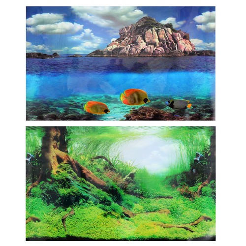 Fish tank background - fish,
