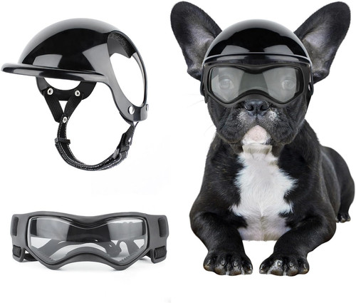 Small dog helmet - small,