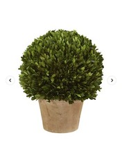 15" Real Preserved Boxwood Topiary Ball Plant in Decorative Planter. Retail $189