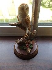 Ornamental Studios Owl - Royal Worcester Artists - Beautiful