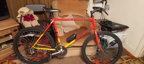 Raleigh yukon mountain bike - yukon,