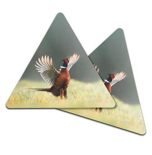 Triangle coaster male - -,