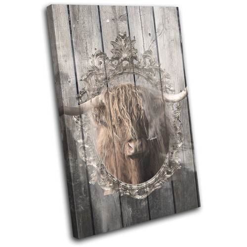 Shabby chic highland cow - highland,