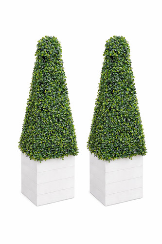 Elegant garden topiary plants - garden,