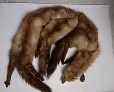 Vintage Complete  Red Fox Fur