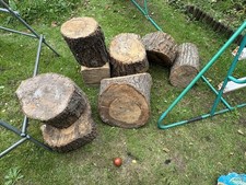 Oak Logs 8 Very Large Seasoned Oak Logs For Carving Or Wood Turning