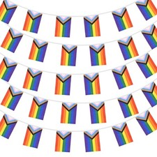 10 Meter Progress Pride Bunting Banner with 38 Pennant Flags - Rectangle Gay LG