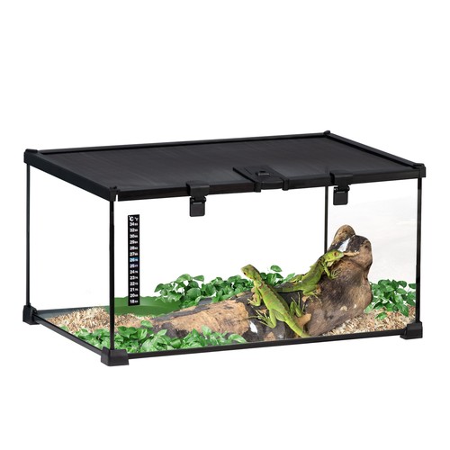 Glass reptile terrarium - reptile,