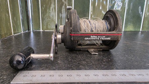 Daiwa sealine 250h - sl, fishing