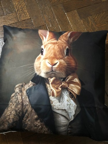 Beautiful posh hare rabbit - 2, x