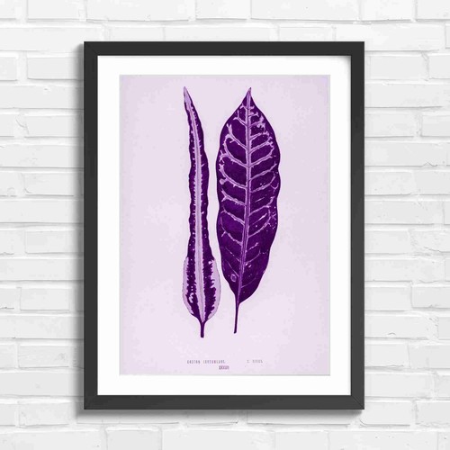 Vintage botanical croton - botanical,
