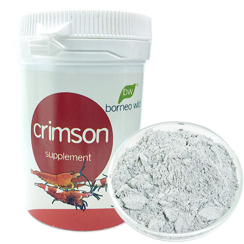 Borneo wild crimson 30g shrimp - borneo,