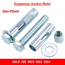 Loose Bolt Shield Anchor Heavy