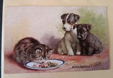Artist Cat/Dog Postcard