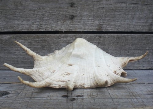 Large vintage original - vintage,