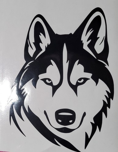 Wolf husky dog - wolf,