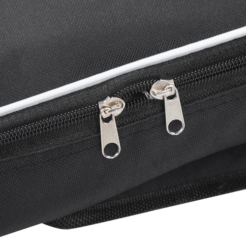 Mandolin case gig - case,