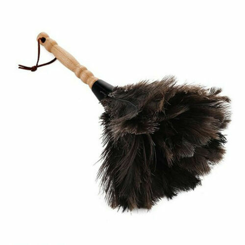 Natural ostrich feather duster - feather,
