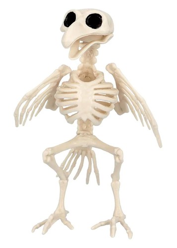 Crow raven bird skeleton - or,
