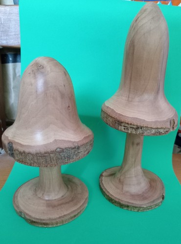 Hand turned mushrooms - hand,