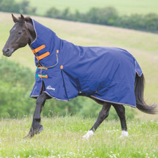 Shires Highlander Original