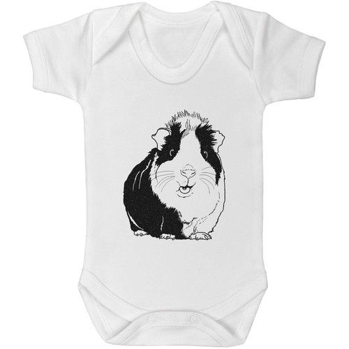 Guinea pig baby grows - 'guinea, /