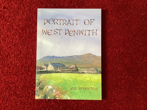 Sue lewington portrait - portrait, west